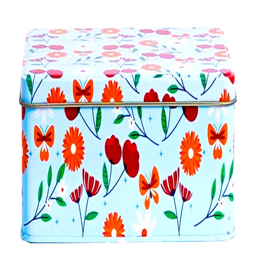 Multi color Storage Box  (Big Size)